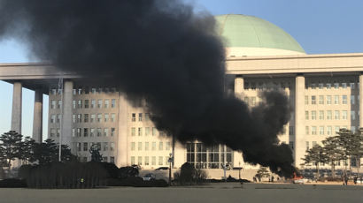 "국회가 국가 침몰시켜"…60대 남성 국회서 분신