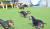 지난해 9월 21일 서울시 강북구 미아동에 있는 애견호텔 &#39;라울레미 하우스&#39;에서 산책시간을 맞아 강아지들이 옥상공원에서 뛰어놀고 있다. [라울레미 하우스]