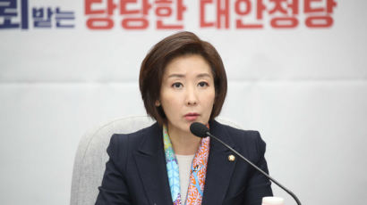 나경원 “미북 정상회담서 종전선언…평화협정 뒤 주한미군 철수 우려”