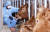 경기도 안성 한우농장에서 구제역이 추가 발생했다. 정부는 구제역에 대한 위기경보단계를 &#39;주의&#39;에서 &#39;경계&#39;로 격상했다. 한우농장에서 농민이 한우들에게 먹이를 준 뒤 상태를 체크하고 있는 모습. 김성태 기자