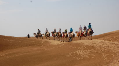 이집트 여행 떠난 60대 한국 여성, 낙타에서 떨어져 숨져