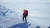 지난 2012년 12월 남극 북빅토리아랜드 유레카스퍼스 지역에서 하네스와 로프를 사용해 탐사중인 우주선 박사. [사진 극지연구소]
