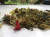 지난해 6월 태국에서 죽은 거북이 몸에서 빼낸 고무 밴드와 풍선조각 등 플라스틱 쓰레기. [AFP=연합뉴스]
