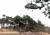 공군 조종사 생환 훈련에서 구조에 나선 공군 탐색구조헬기가 접근하고 있다. [사진 공군]