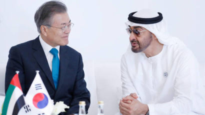 UAE 왕세제 26일 공식 방한…文대통령과 정상회담