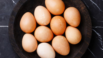 23일부터 달걀에 산란일자 표기 의무화…소비자 선택폭 강화