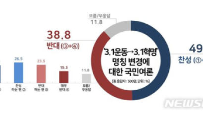 3·1운동→3·1혁명 명칭 변경, 찬성 49% vs 반대 39%