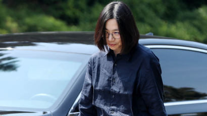 조현아 남편 "상습 폭행당해"…이혼소송 중 아내 고소