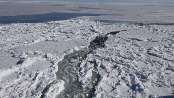 얼음 덮인 바다를 걸었다… 홋카이도의 겨울 한정판 비경
