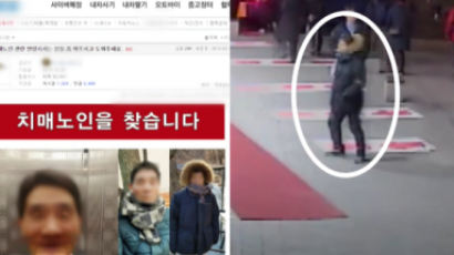 CCTV 100대 뒤진 경찰, 전단지 만든 네티즌…실종자 찾아내