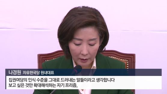 설훈·홍익표 "20대 지지율은 교육 탓"에 김수민 “꼰대방지법 발의"