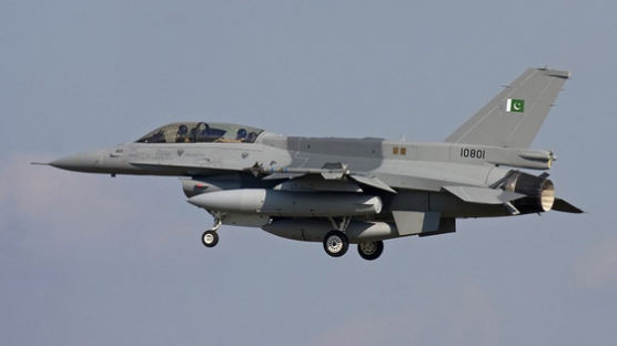 F-16 띄워 인도군 격추했나···美 나서자 파키스탄 떤다