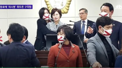 진실게임으로 번진 ‘송파구의회 의사봉 폭행 사건’ 쟁점 셋