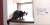 일본 언론이 보도한 고양이 전용 아파트 내부 모습. [사진 유튜브]