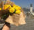 한국여성의전화가 8일 오전 나눠준 노란 장미 [사진 한국여성의전화 인스타그램]