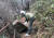 지리산국립공원에서 낙석 등의 위험이 있는 탐방로 바위를 제거하는 모습. [국립공원관리공단 제공=연합뉴스]