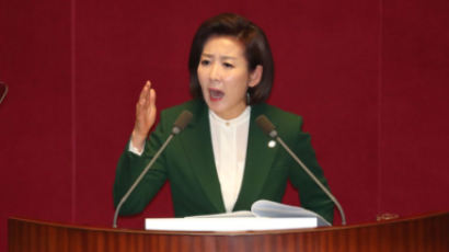박지원 “민주, 나경원을 잔다르크 만들어…판단은 국민 몫”