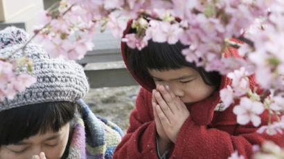 동일본 대지진 8주기...그래도 꽃은 피고, 삶이 계속된다