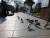 지난 13일 전주 한옥마을 태조로에서 비둘기떼가 바닥에 떨어진 꼬치 조각을 먹기 위해 다투고 있다. 김준희 기자