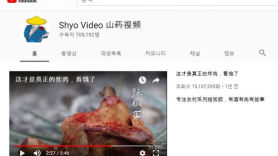 '중국판 나는 자연인?' 방화벽 뚫고 잘 나가는 中유튜버들