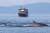 퀘벡시티는 세계적인 고래 관광 명소다. 700명까지 탑승할 수 있는 AML 크루즈의 고래 관광선. [사진 캐나다관광청]