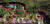 철쭉꽃과 꽃잔디로 화려하게 조경을 한 방장산자연휴양림. [사진 국립자연휴양림관리소]