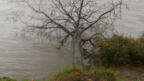 비 오면 세금 낸다?…'폭우세' 시행하는 지역 어디길래