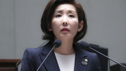 나경원, “반민특위 아닌 2019 반문특위 비판한것”해명
