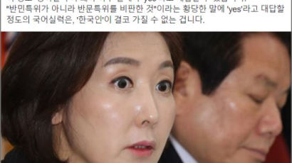 나경원 '반문특위' 해명에…전우용 "한국인이 못 갖는 국어실력"