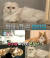 배우 윤균상 고양이 &#39;솜이&#39; 생전 모습. [사진 MBC 방송 캡처]