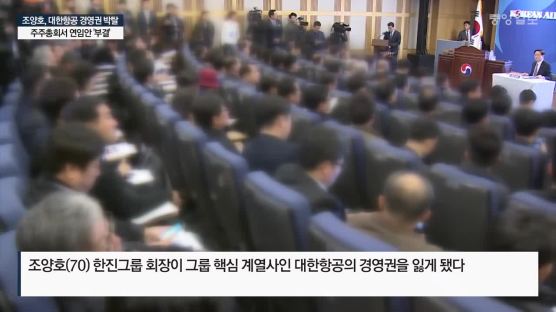 대한항공 “조 회장 미등기 이사로 회장직 가능”…조원태 대표이사 체제 강화 전망