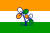 인도 국기에 풀잎을 그려놓은 인도풀뿌리의회당의 깃발. [중앙포토]