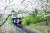 곶자왈을 기차를 타고 누비는 에코랜드 테마파크.[사진 제주관광공사]