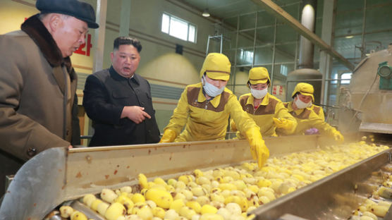 [서소문사진관]북한 김정은, "감자의 우월성과 효과 전파하라" 지시