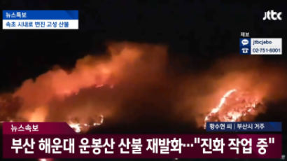 부산 해운대 운봉산 산불 재발화…강풍 타고 확산 중 