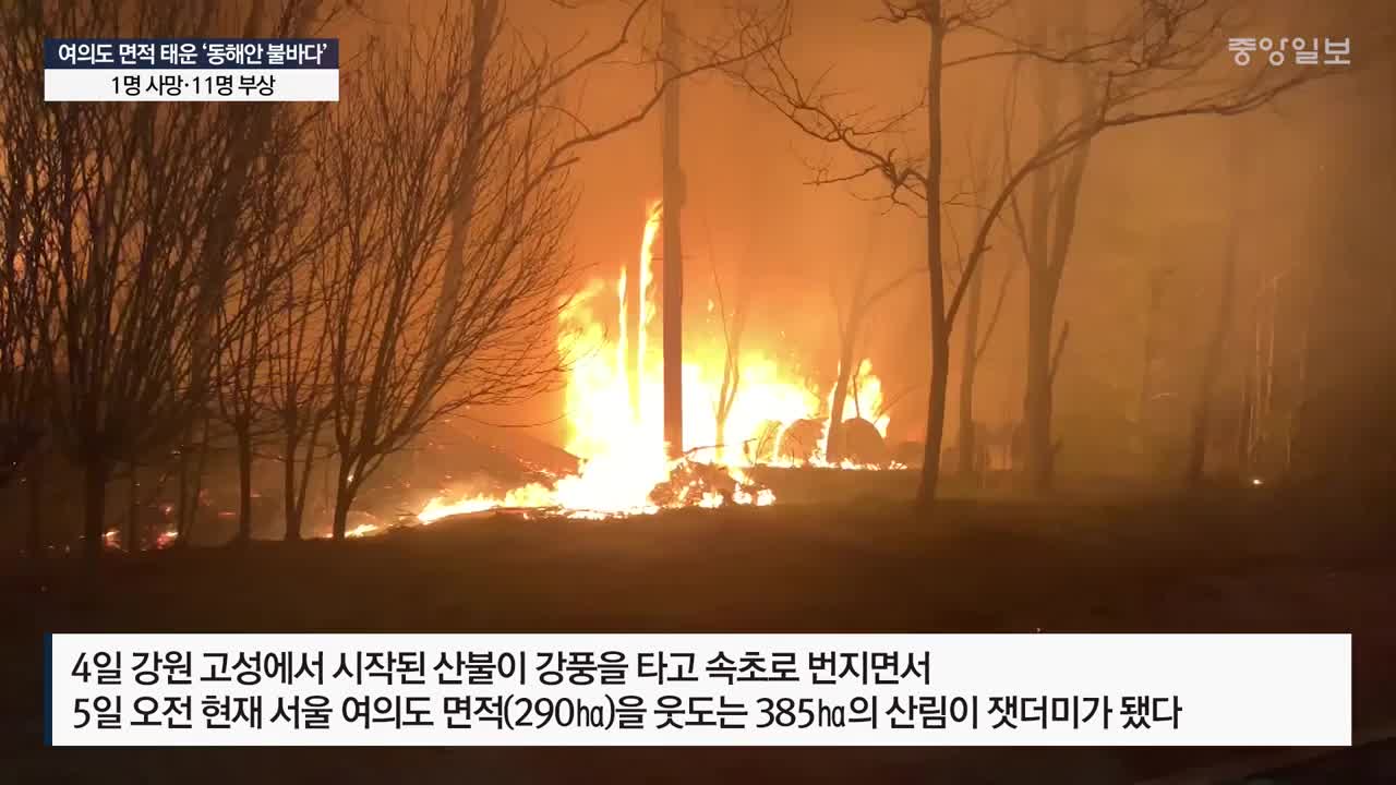 [동영상 뉴스]상공에서 본 강원도 산불 재난 현장. 5일 새벽 고성, 강릉, 인제