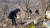 충남 예산경찰서 형사들이 백골시신이 발견된 예산군 신양면 차동고개 중턱 비탈길에서 현장조사를 하고 있다. [사진 예산경찰서]