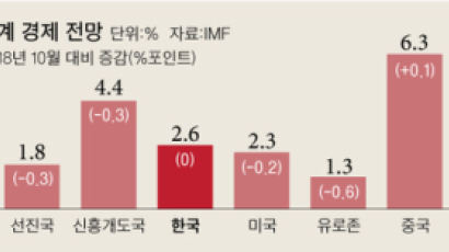 IMF, 한국 성장률 2.6% 유지…알고보니 추경효과 미리 반영