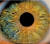 눈 미용과 건강에 대한 관심이 높아지면서 콘택트 렌즈를 통한 안구질환 치료ㆍ진단 관련 특허가 증가하고 있다. [중앙포토]