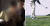 빅뱅 승리 측근들의 단독방에서 &#39;경찰총장&#39;으로 불린 윤모 총경(왼쪽). 오른쪽 사진은 기사 내용과 관련이 없음 [사진 JTBC캡처, Pixabay]