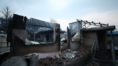 인증샷부터 절도까지…산불 피해 주민 두번 울리는 외부인들