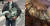 극적으로 회수된 노트르담 성당 첨탑 수탉 조상(왼쪽)과 장대한 규모의 노트르담 성당 오르간 [자크 샤뉘 트위터, 연합뉴스]