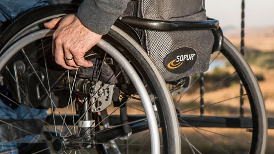 장애인 2명 중 1명은 65세 이상 노인...지체장애 줄고 발달장애 늘었다