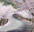 팔공산은 봄철 드라이브 코스로 인기다. 도로 옆으로 핀 벚꽃이 장관이다. [사진 대구시]