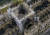 화재 이틀이 지난 17일(현지시간) 공중에서 촬영한 프랑스 파리 노트르담 대성당의 모습. 첨탑과 목재 구조물로 이뤄졌던 지붕의 상당 부분이 마치 폭격을 맞은 듯 훼손됐다. [AP=연합뉴스]