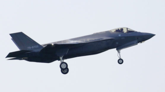 “F-35 설계 기밀 주겠다” 미국, 일본에 파격 제안
