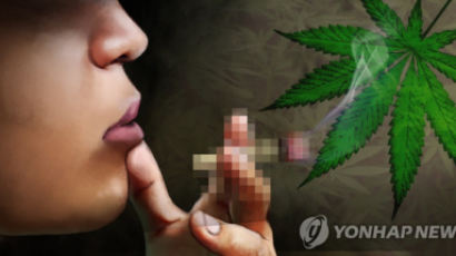 [속보] '변종마약 투약' 현대그룹 3세 입국…인천공항서 체포