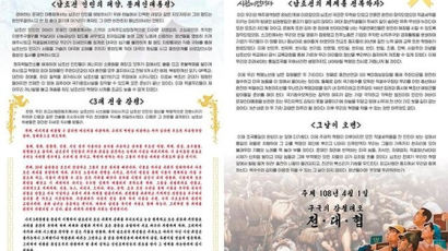 '北김정은 서진 대자보'는 불법 옥외광고물?…표현의 자유 침해 논란