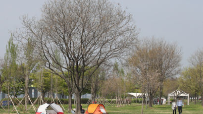 한강서 ‘밀실 텐트’ 치면 100만원…왜?