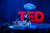 TED에는 강연만 있는 것이 아니다. 다양한 강연 사이사이에 각종 음악과 무용 등의 공연이 이어진다. [사진 TED] 